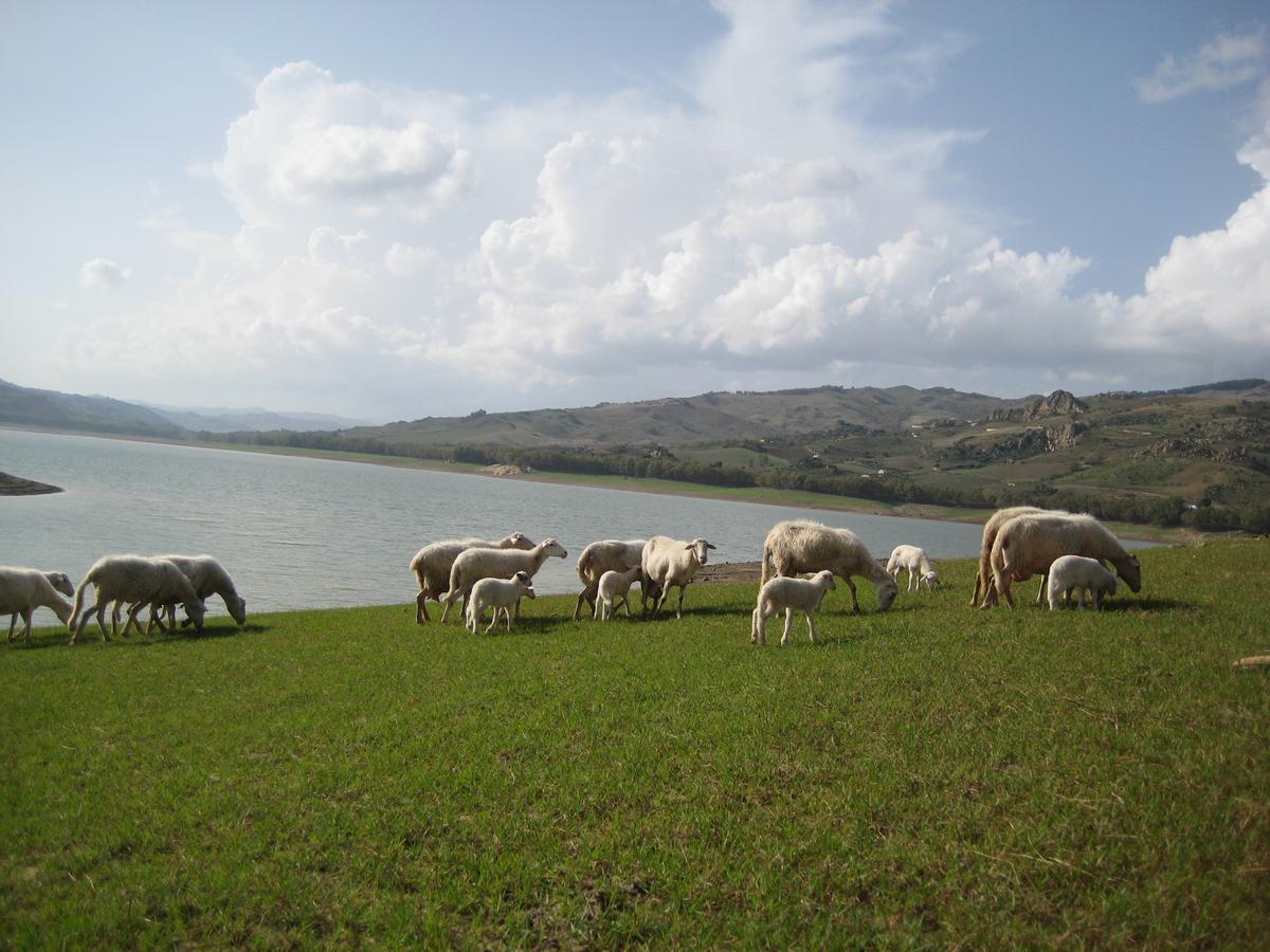 Oasi Del Lago Regalbuto Bagian luar foto