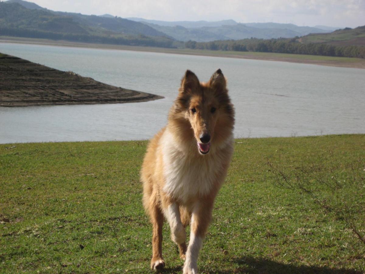 Oasi Del Lago Regalbuto Bagian luar foto